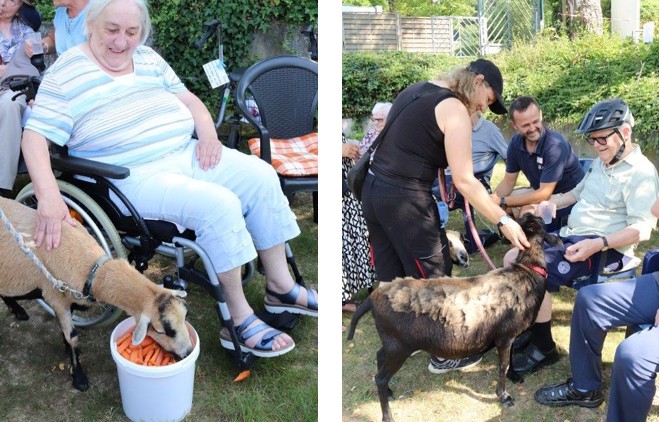 Besuch vom Schwanenteich im Maranatha